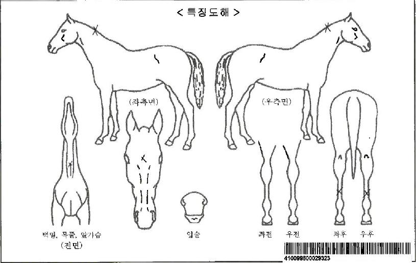 ���������ڸ��� ����,���,�޸�,�λ�,�ٸ��� Ư¡����