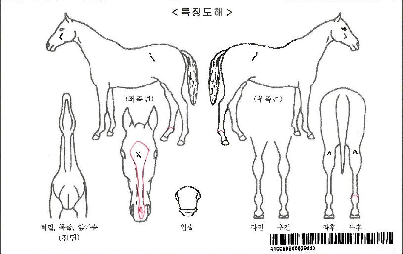 �ν��ͷ����ڸ��� ����,���,�޸�,�λ�,�ٸ��� Ư¡����