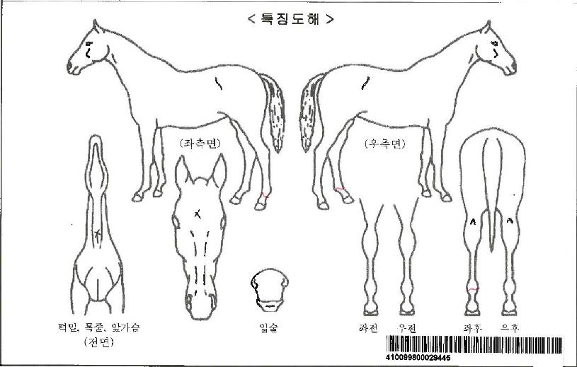 ��������ڸ��� ����,���,�޸�,�λ�,�ٸ��� Ư¡����