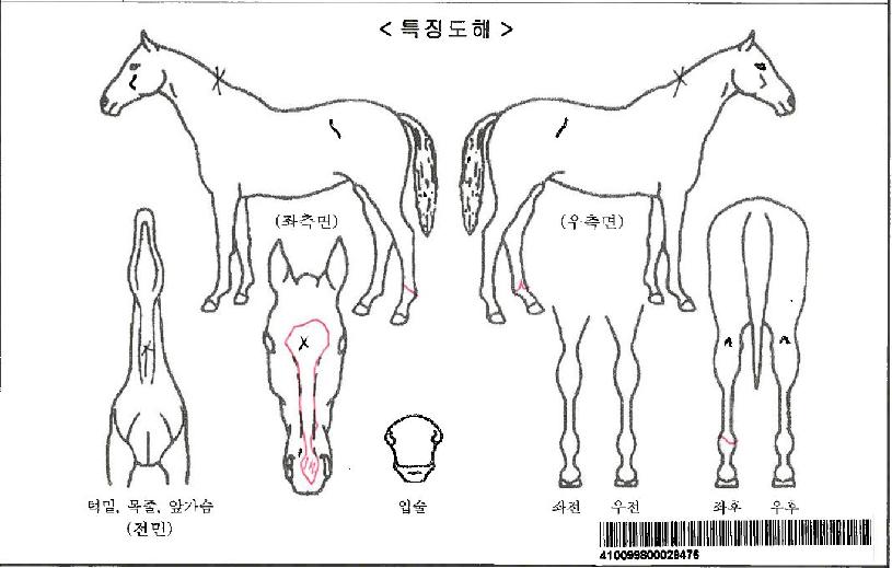 ÄÉÀÌ¿£¿ÃµåÄýÀÚ¸¶ÀÇ Ãø¸é,¿ì¸é,µÞ¸é,µÎ»ó,´Ù¸®ÀÇ Æ¯Â¡µµÇØ