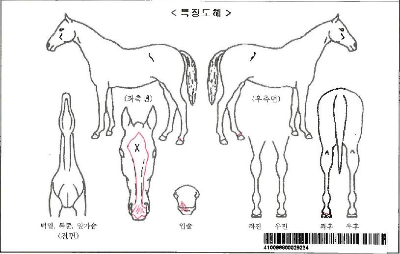 ½Ç¹öÇÜÆ°ÀÚ¸¶ÀÇ Ãø¸é,¿ì¸é,µÞ¸é,µÎ»ó,´Ù¸®ÀÇ Æ¯Â¡µµÇØ