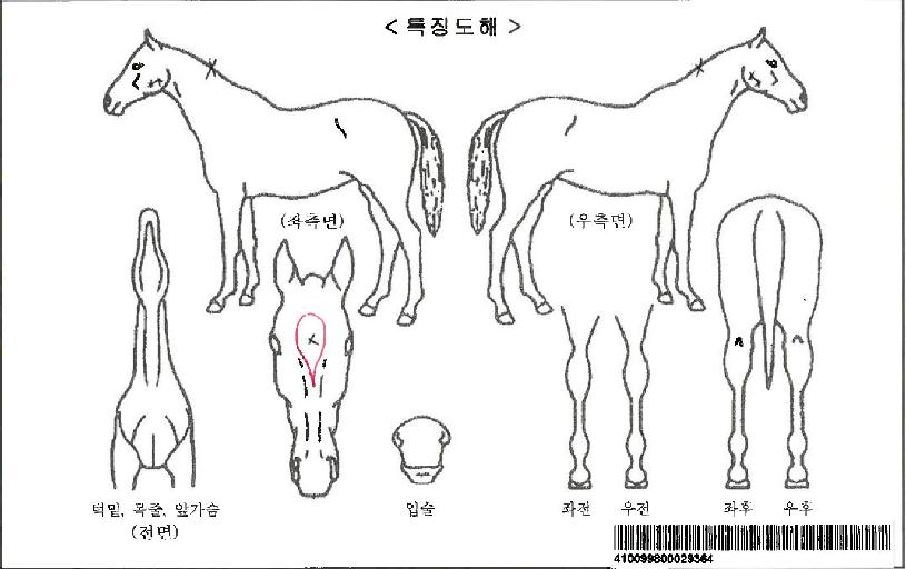 ���������������ڸ��� ����,���,�޸�,�λ�,�ٸ��� Ư¡����