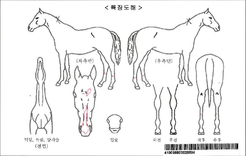 Ŭ¸®Å°Æ¼Å¬·¢ÀÚ¸¶ÀÇ Ãø¸é,¿ì¸é,µÞ¸é,µÎ»ó,´Ù¸®ÀÇ Æ¯Â¡µµÇØ