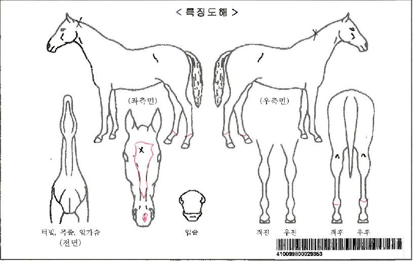 ½ºÀ§Æ®·ÎÁîÀÚ¸¶ÀÇ Ãø¸é,¿ì¸é,µÞ¸é,µÎ»ó,´Ù¸®ÀÇ Æ¯Â¡µµÇØ