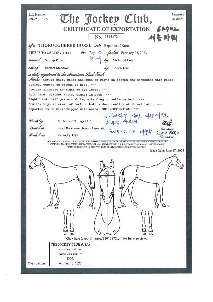 ¼¼Á¾ÆÄ¿öÀÇ Ãø¸é,¿ì¸é,µÞ¸é,µÎ»ó,´Ù¸®ÀÇ Æ¯Â¡µµÇØ