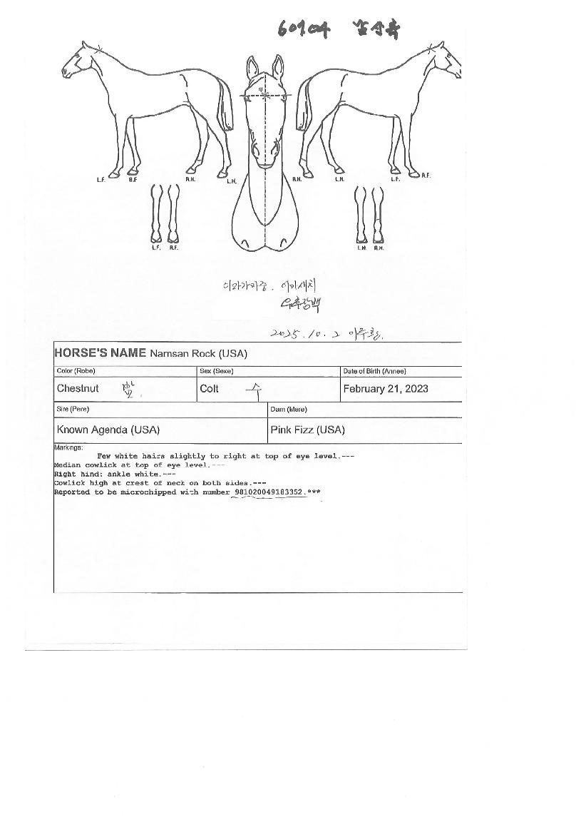 ³²»ê·ÏÀÇ Ãø¸é,¿ì¸é,µÞ¸é,µÎ»ó,´Ù¸®ÀÇ Æ¯Â¡µµÇØ