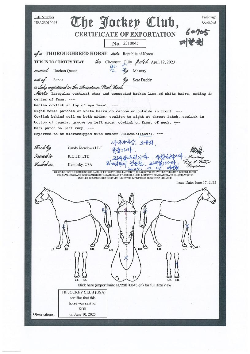 ´ëÇÑÄýÀÇ Ãø¸é,¿ì¸é,µÞ¸é,µÎ»ó,´Ù¸®ÀÇ Æ¯Â¡µµÇØ