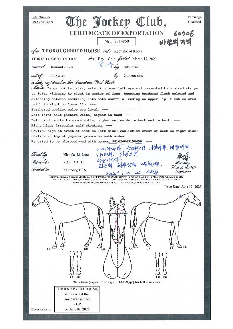 �ٶ��Ǳ���� ����,���,�޸�,�λ�,�ٸ��� Ư¡����