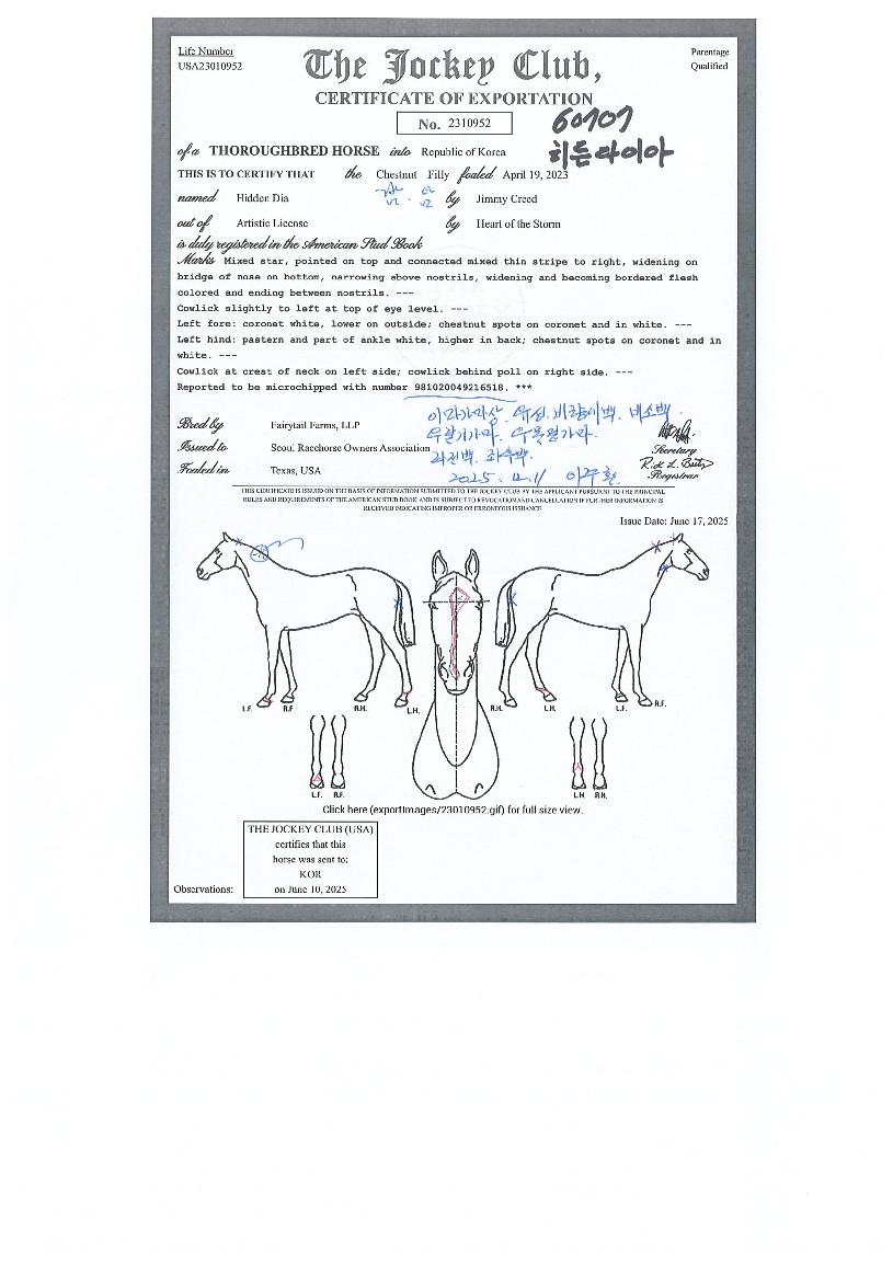 È÷µç´ÙÀ̾ÆÀÇ Ãø¸é,¿ì¸é,µÞ¸é,µÎ»ó,´Ù¸®ÀÇ Æ¯Â¡µµÇØ