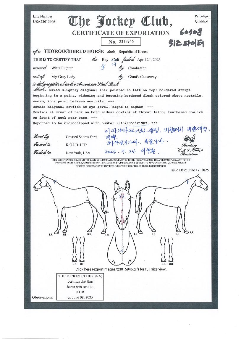 ������������ ����,���,�޸�,�λ�,�ٸ��� Ư¡����