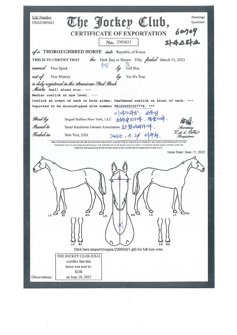 �Ļ罺��ũ�� ����,���,�޸�,�λ�,�ٸ��� Ư¡����