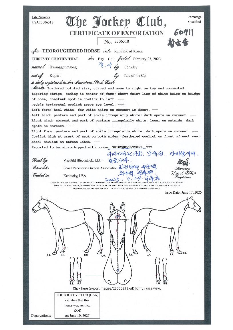 Ȳ�ݼ��� ����,���,�޸�,�λ�,�ٸ��� Ư¡����