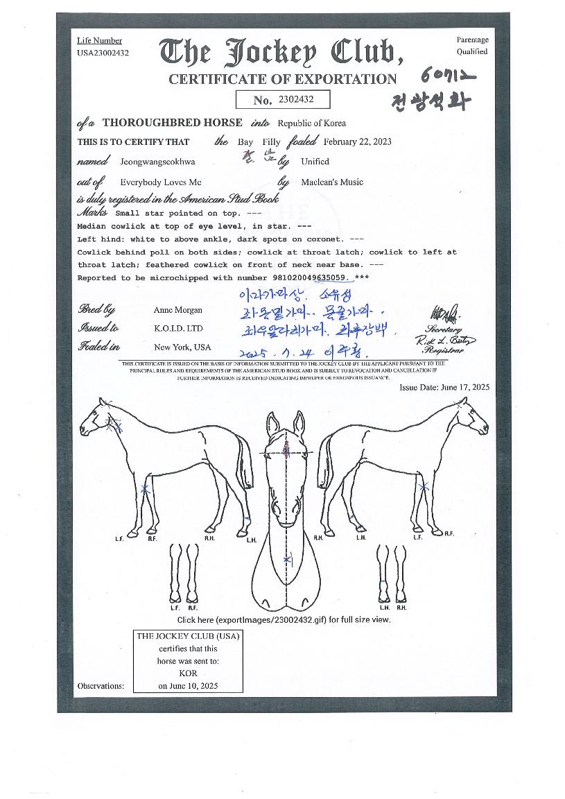 ������ȭ�� ����,���,�޸�,�λ�,�ٸ��� Ư¡����