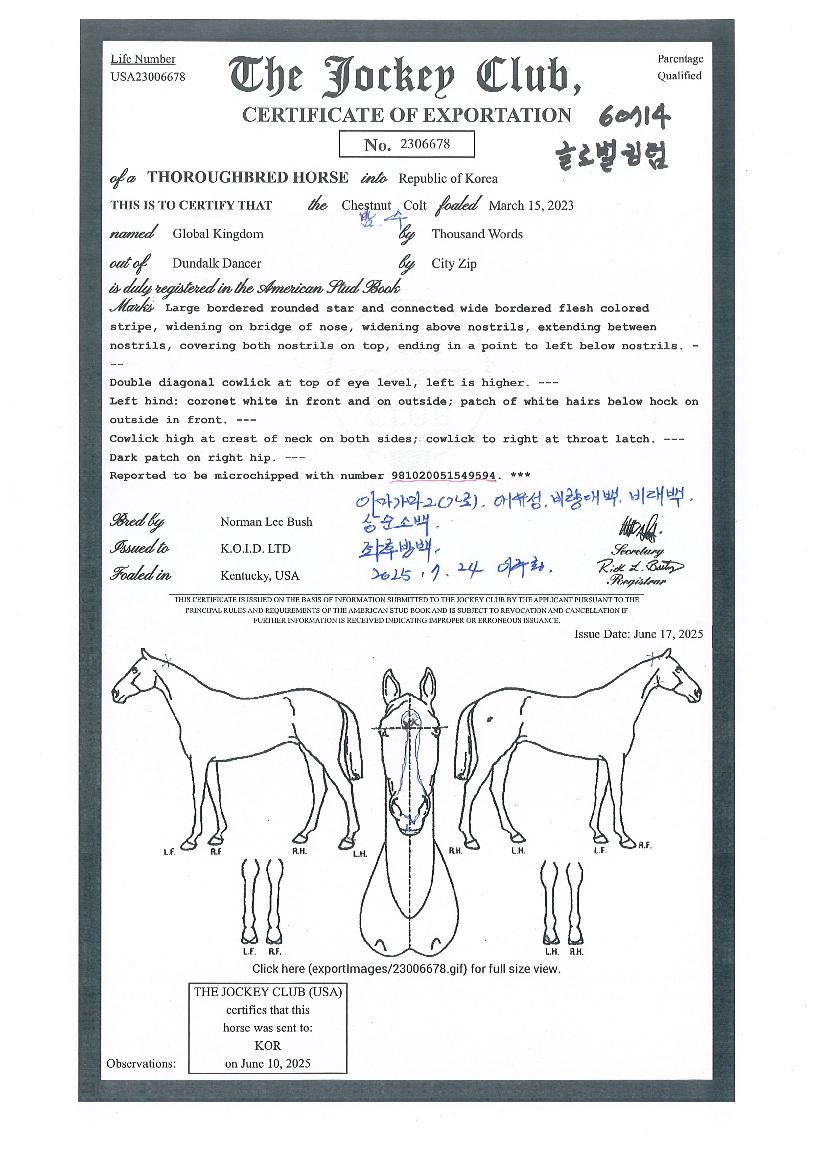 ±Û·Î¹úÅ·´ýÀÇ Ãø¸é,¿ì¸é,µÞ¸é,µÎ»ó,´Ù¸®ÀÇ Æ¯Â¡µµÇØ