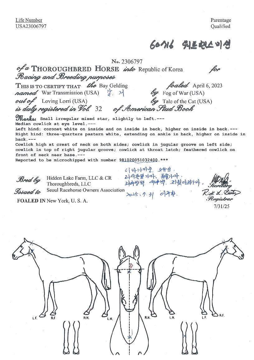 ��Ʈ�����̼��� ����,���,�޸�,�λ�,�ٸ��� Ư¡����