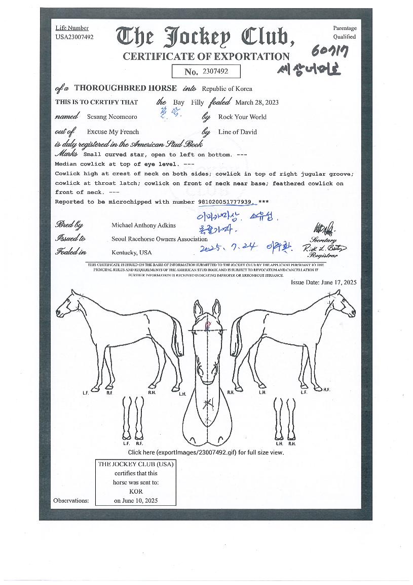 ����ʸӷ��� ����,���,�޸�,�λ�,�ٸ��� Ư¡����