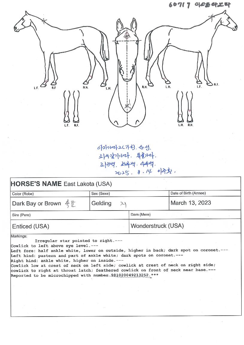 À̽ºÆ®¶óÄÚŸÀÇ Ãø¸é,¿ì¸é,µÞ¸é,µÎ»ó,´Ù¸®ÀÇ Æ¯Â¡µµÇØ