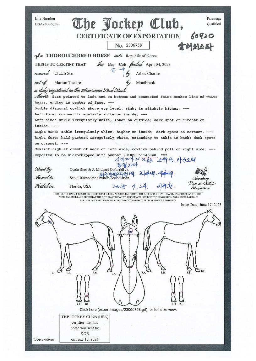 Ŭ·¯Ä¡½ºÅ¸ÀÇ Ãø¸é,¿ì¸é,µÞ¸é,µÎ»ó,´Ù¸®ÀÇ Æ¯Â¡µµÇØ