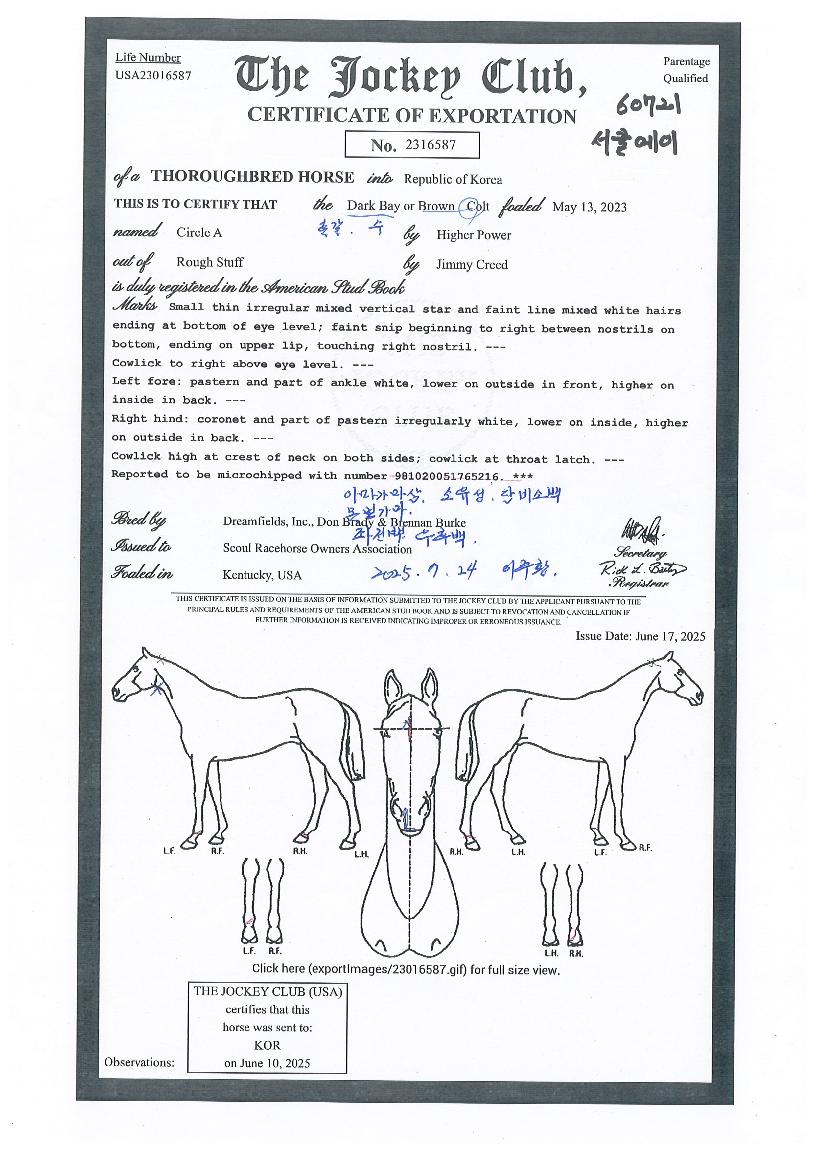 ��Ŭ������ ����,���,�޸�,�λ�,�ٸ��� Ư¡����