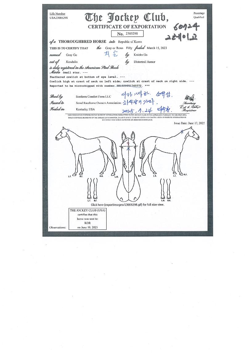 ±×·¹À̰íÀÇ Ãø¸é,¿ì¸é,µÞ¸é,µÎ»ó,´Ù¸®ÀÇ Æ¯Â¡µµÇØ