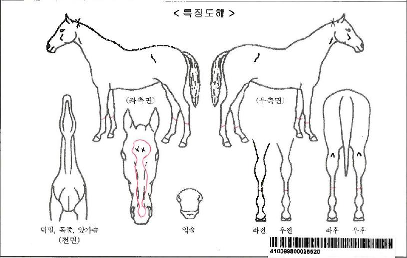 ���������ڸ��� ����,���,�޸�,�λ�,�ٸ��� Ư¡����