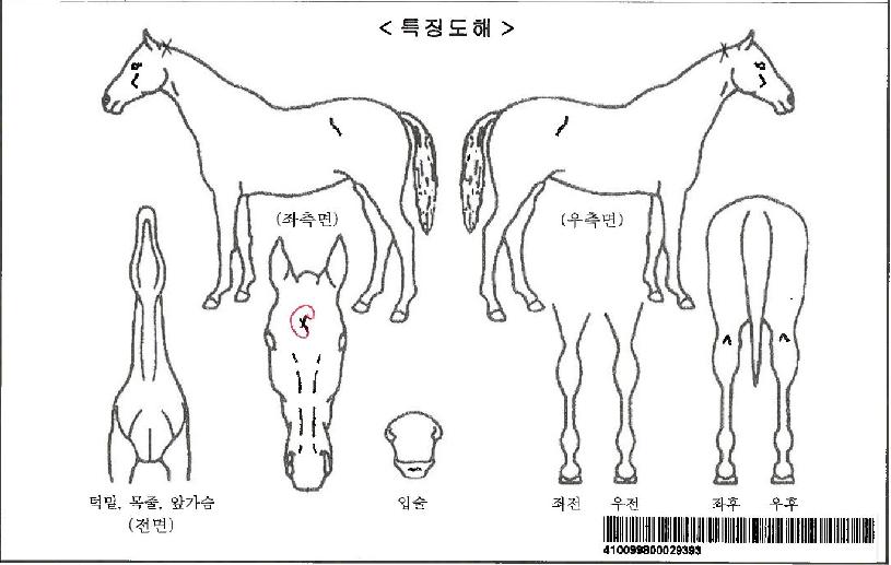 ¶ó½ºÆ®¸®Á¶Æ®ÀÚ¸¶ÀÇ Ãø¸é,¿ì¸é,µÞ¸é,µÎ»ó,´Ù¸®ÀÇ Æ¯Â¡µµÇØ