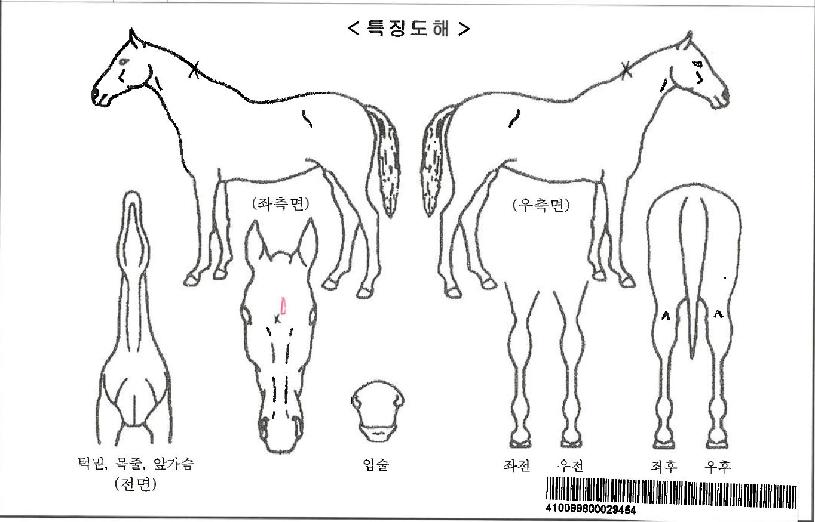 ����׷���Ʈ�÷��ڸ��� ����,���,�޸�,�λ�,�ٸ��� Ư¡����