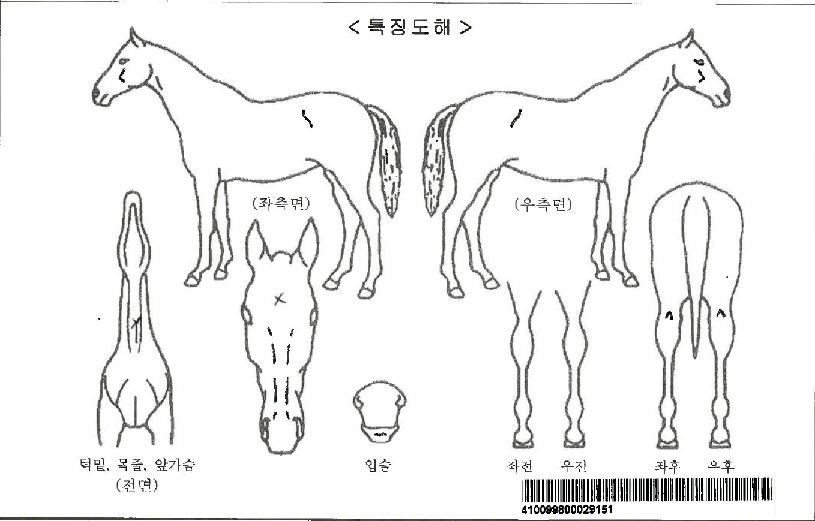 ¸¶ÀÌÅ©½º°ÉÀÚ¸¶ÀÇ Ãø¸é,¿ì¸é,µÞ¸é,µÎ»ó,´Ù¸®ÀÇ Æ¯Â¡µµÇØ