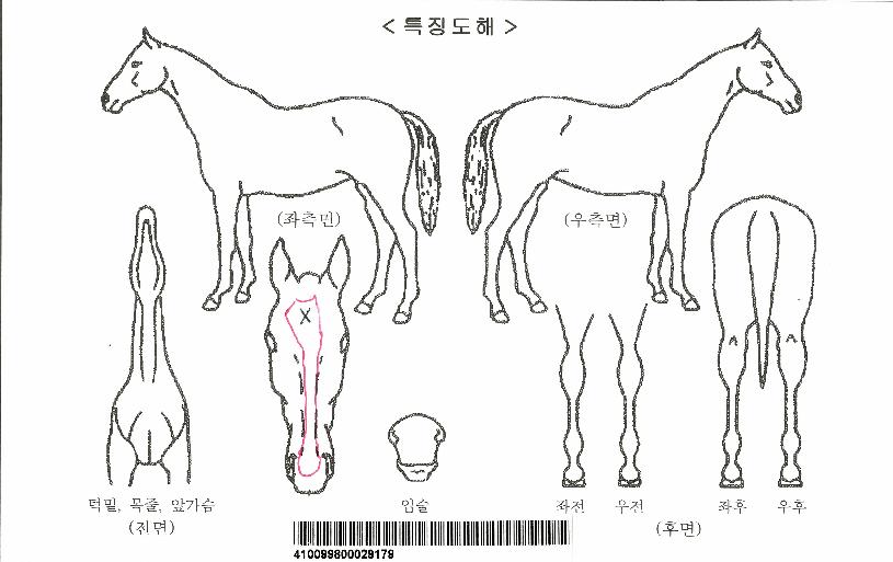 ÀçÁîÀÚ¸¶ÀÇ Ãø¸é,¿ì¸é,µÞ¸é,µÎ»ó,´Ù¸®ÀÇ Æ¯Â¡µµÇØ