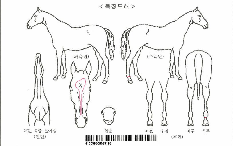 ����Ÿ���������ڸ��� ����,���,�޸�,�λ�,�ٸ��� Ư¡����