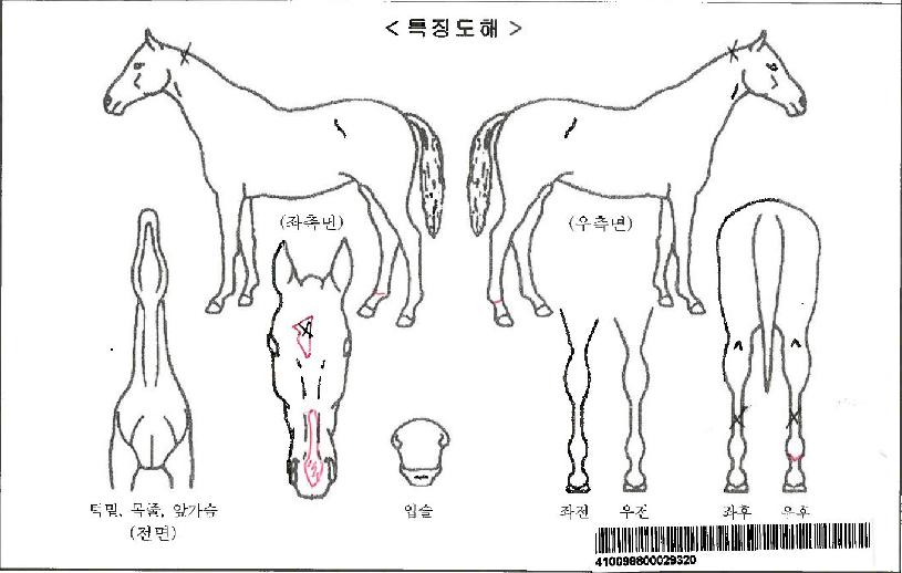 �������ڸ��� ����,���,�޸�,�λ�,�ٸ��� Ư¡����