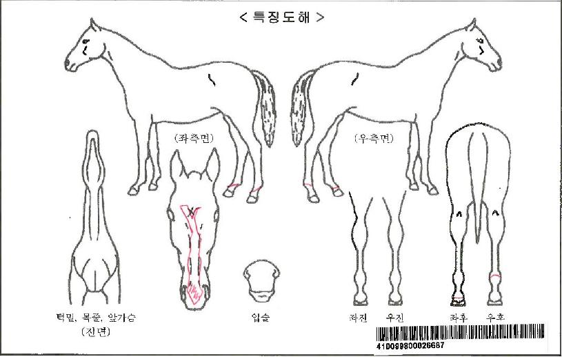 Ʈ������������ڸ��� ����,���,�޸�,�λ�,�ٸ��� Ư¡����