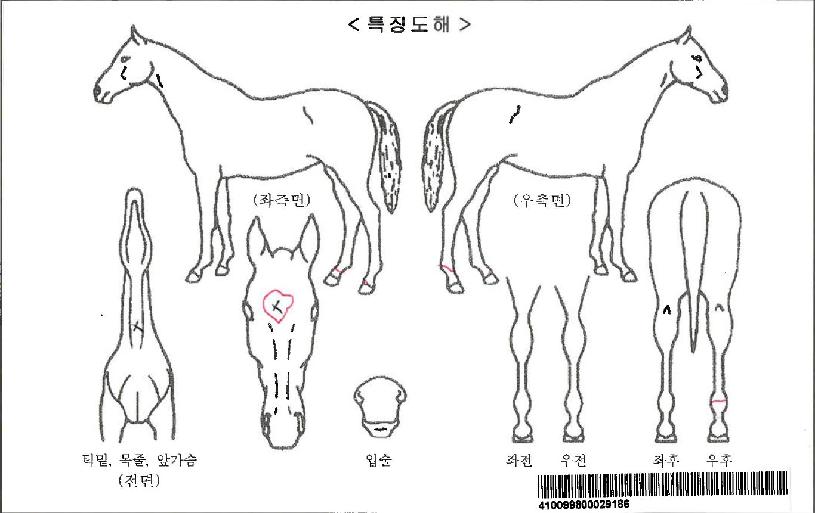 ����ι����ڸ��� ����,���,�޸�,�λ�,�ٸ��� Ư¡����