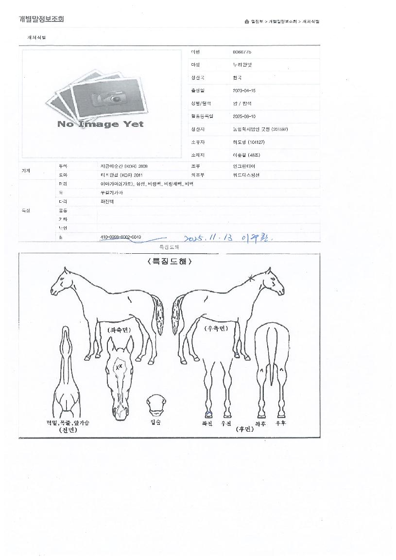 �����Ѻ��� ����,���,�޸�,�λ�,�ٸ��� Ư¡����