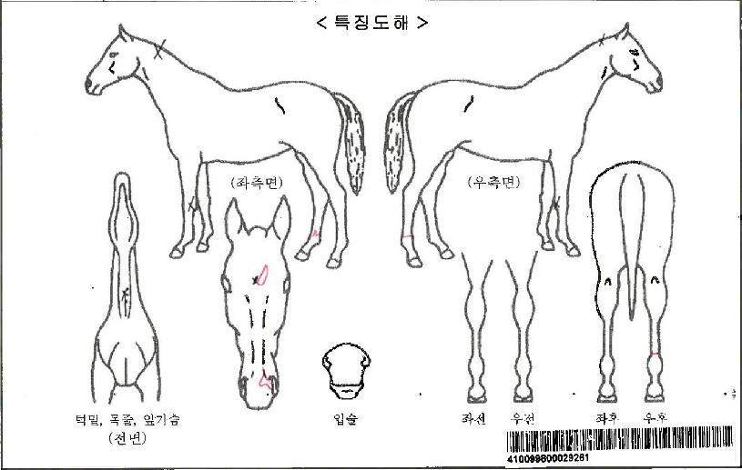 ��콺�ٿ���ڸ��� ����,���,�޸�,�λ�,�ٸ��� Ư¡����