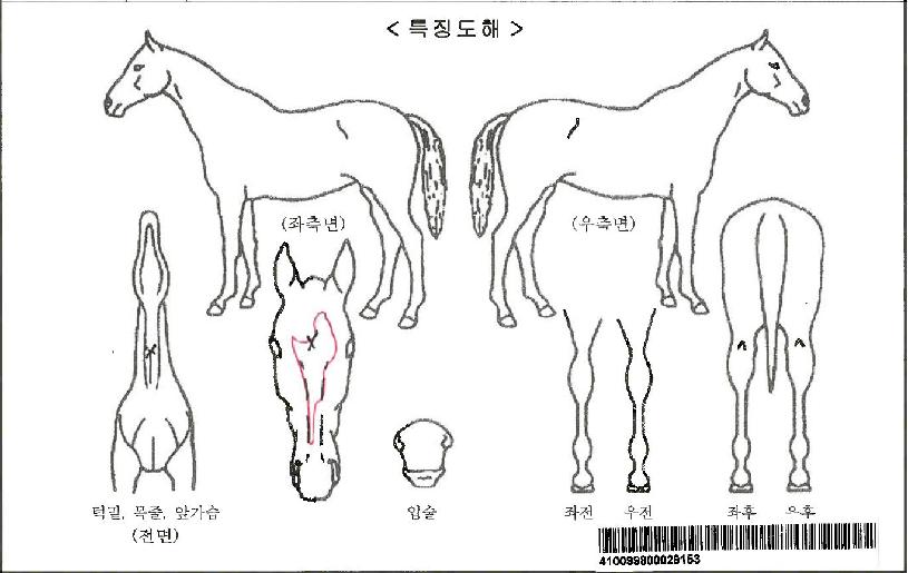 �������������ڸ��� ����,���,�޸�,�λ�,�ٸ��� Ư¡����