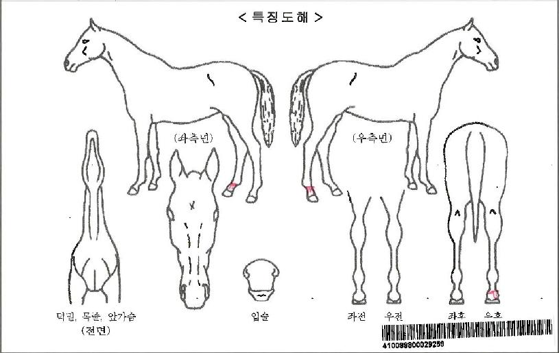 �������ڸ��� ����,���,�޸�,�λ�,�ٸ��� Ư¡����