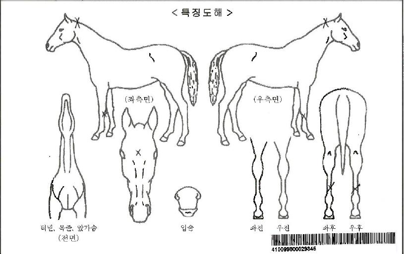½ºÆÐ´Ï½ÃÁªÀÚ¸¶ÀÇ Ãø¸é,¿ì¸é,µÞ¸é,µÎ»ó,´Ù¸®ÀÇ Æ¯Â¡µµÇØ