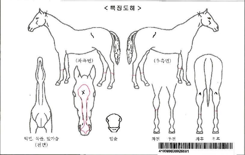 ��������ڸ��� ����,���,�޸�,�λ�,�ٸ��� Ư¡����