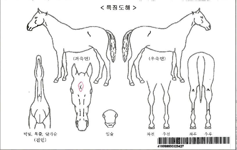 ���������ڸ��� ����,���,�޸�,�λ�,�ٸ��� Ư¡����