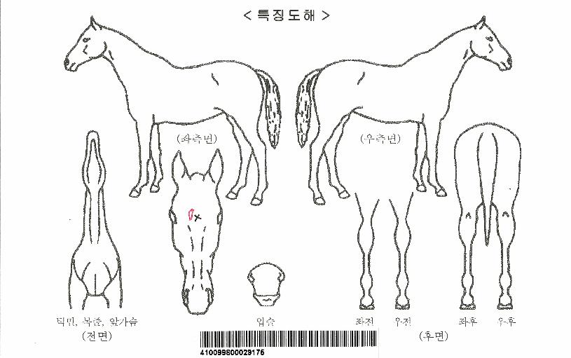 ���Ͻô��ڸ��� ����,���,�޸�,�λ�,�ٸ��� Ư¡����