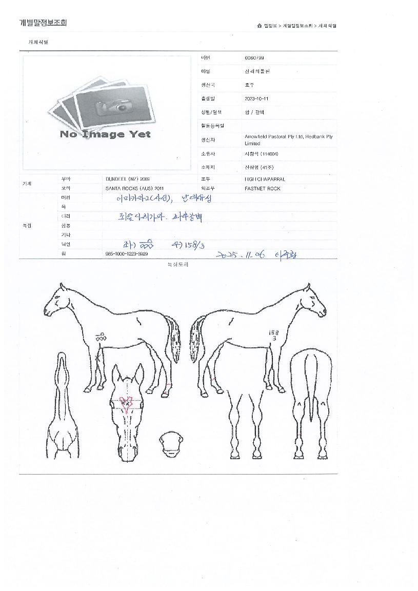 Áø°ÝÀǵ¹ÇÉÀÇ Ãø¸é,¿ì¸é,µÞ¸é,µÎ»ó,´Ù¸®ÀÇ Æ¯Â¡µµÇØ