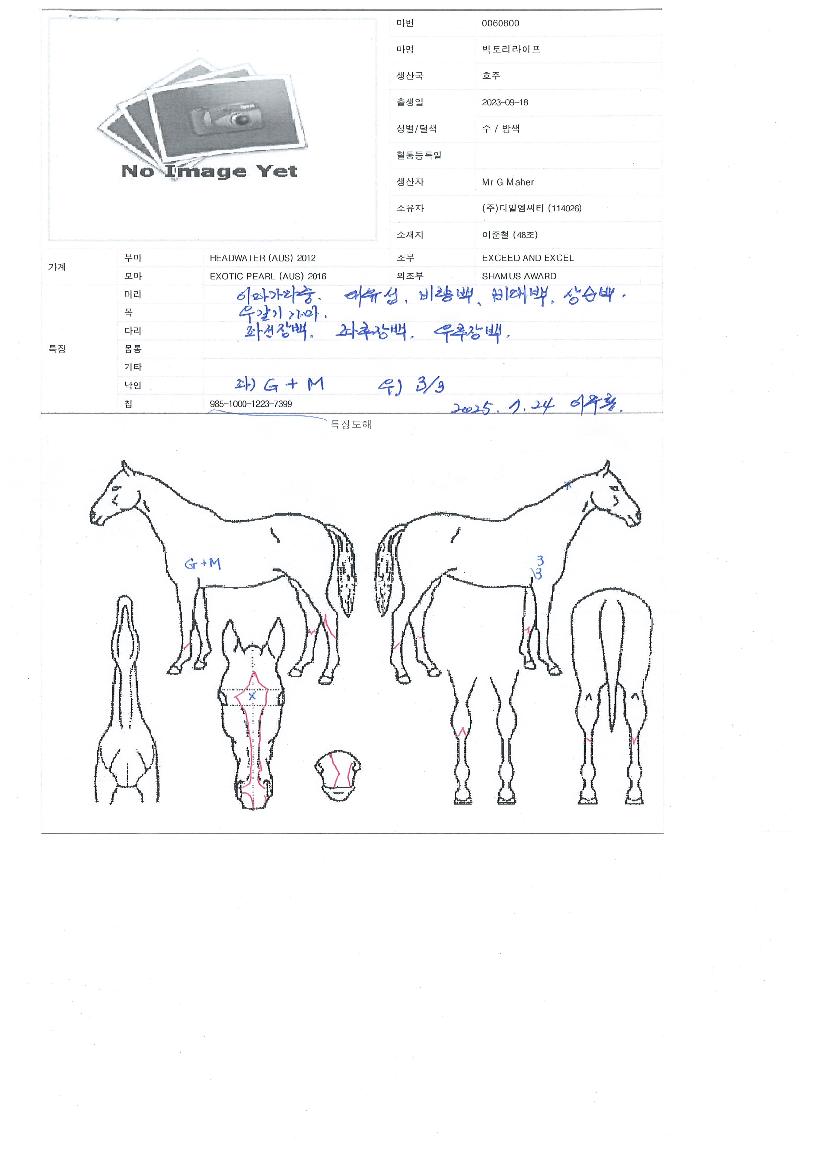 ºòÅ丮¶óÀÌÇÁÀÇ Ãø¸é,¿ì¸é,µÞ¸é,µÎ»ó,´Ù¸®ÀÇ Æ¯Â¡µµÇØ