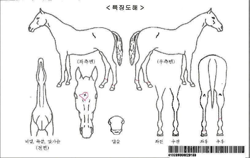 �ý�������ڸ��� ����,���,�޸�,�λ�,�ٸ��� Ư¡����