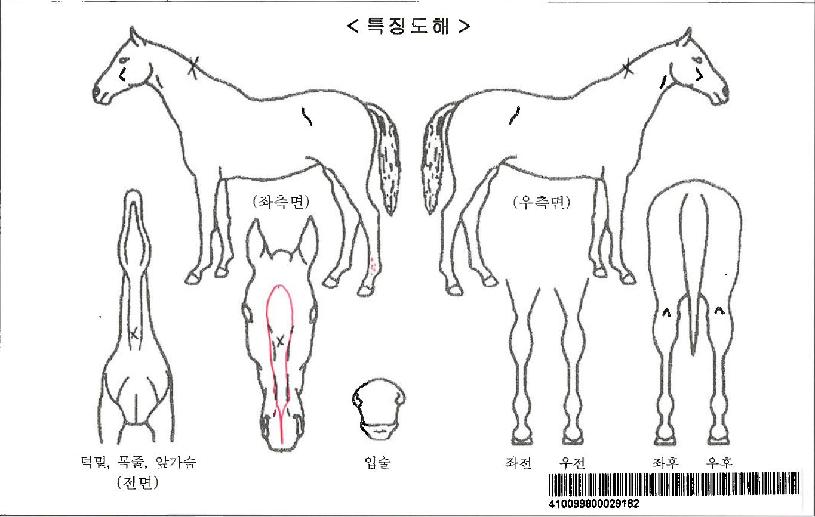 ���̽������ڸ��� ����,���,�޸�,�λ�,�ٸ��� Ư¡����