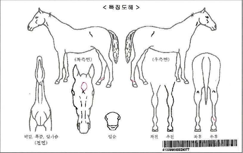 ÆÐÀ̸ӽº¾îÆ®·¢¼ÇÀÚ¸¶ÀÇ Ãø¸é,¿ì¸é,µÞ¸é,µÎ»ó,´Ù¸®ÀÇ Æ¯Â¡µµÇØ