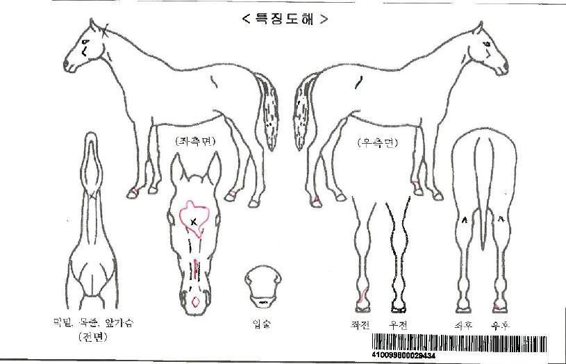 �ÿ���������ڸ��� ����,���,�޸�,�λ�,�ٸ��� Ư¡����