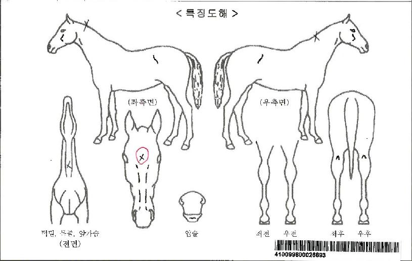 �������ڸ��� ����,���,�޸�,�λ�,�ٸ��� Ư¡����