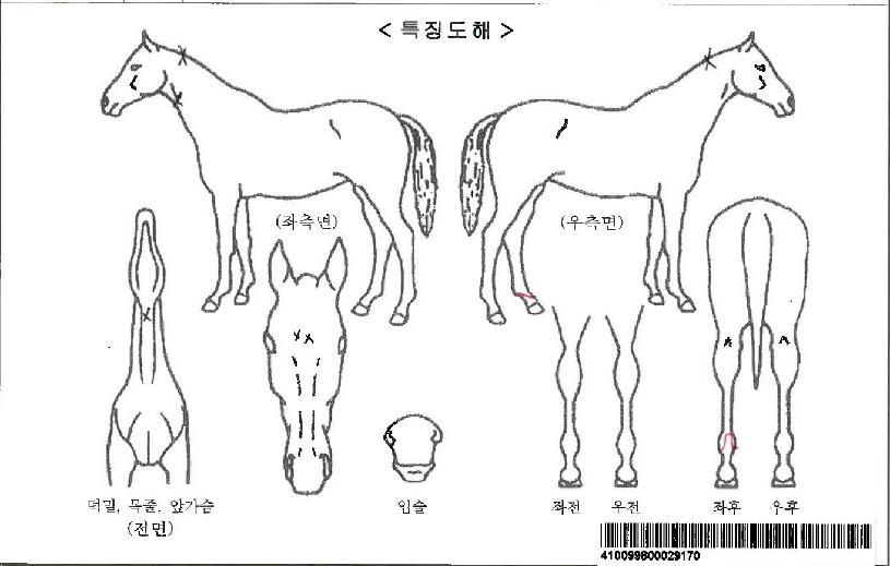 �ǽ���������ڸ��� ����,���,�޸�,�λ�,�ٸ��� Ư¡����