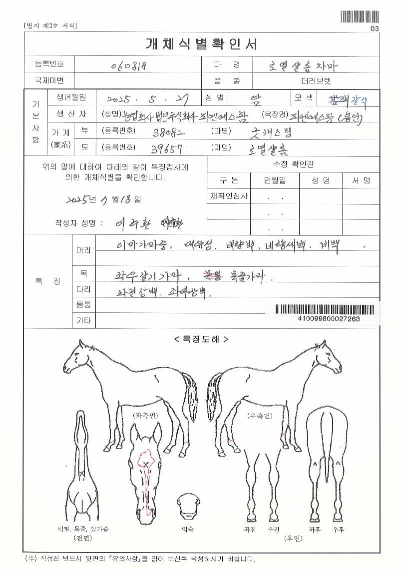 ·Î¿¼£·ÒÀÚ¸¶ÀÇ Ãø¸é,¿ì¸é,µÞ¸é,µÎ»ó,´Ù¸®ÀÇ Æ¯Â¡µµÇØ